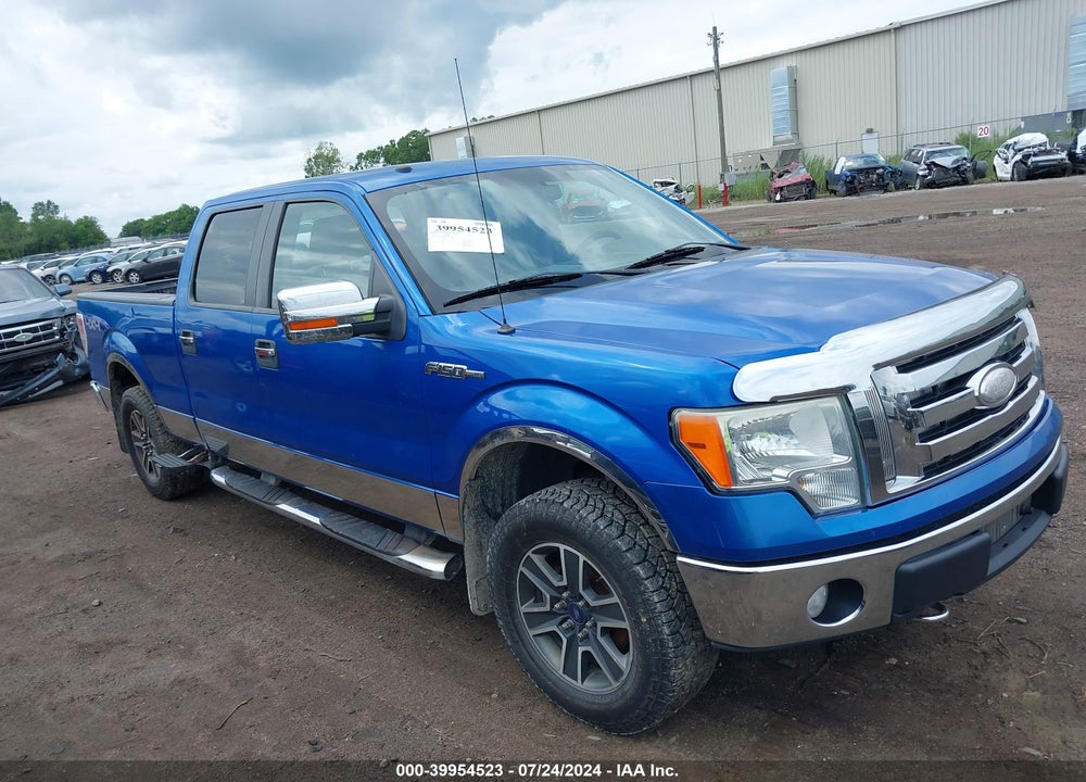 2009 FORD F-150 XLT VIN: 1FTPW14V49FB37297