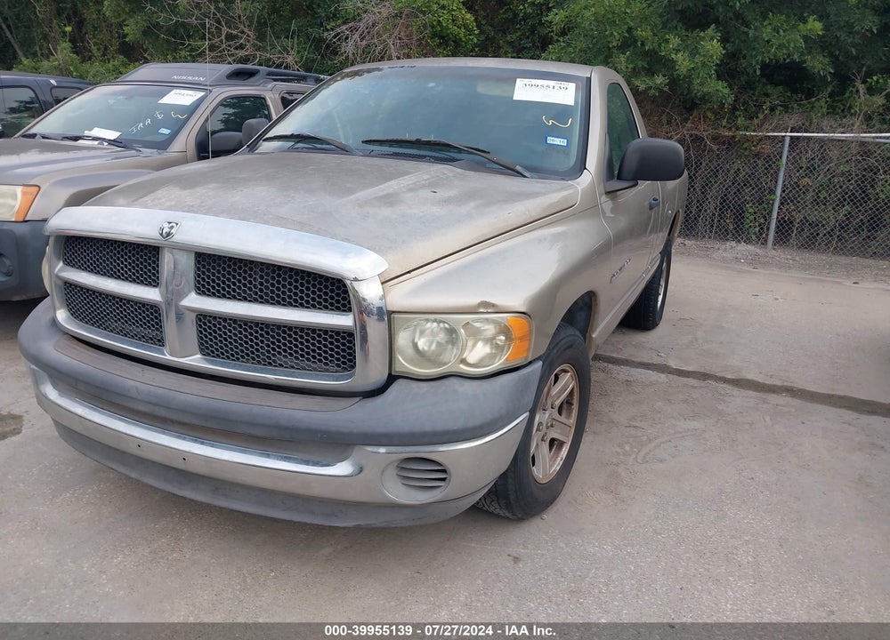 2002 DODGE RAM 1500 ST VIN: 1D7HA16K82J236722