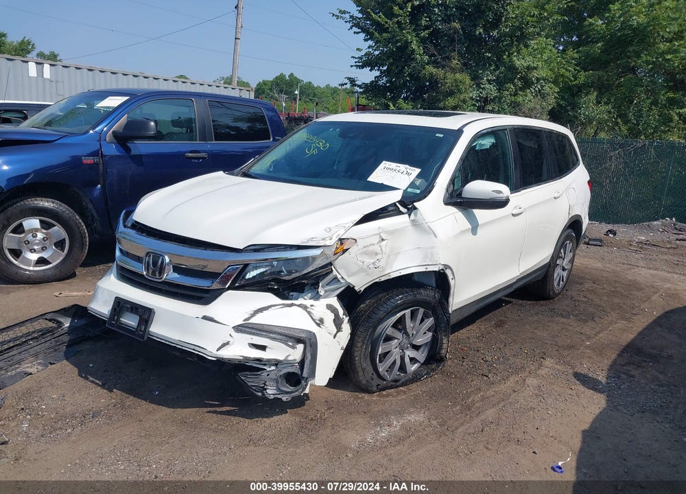2019 HONDA PILOT EX-L VIN: 5FNYF6H48KB011683