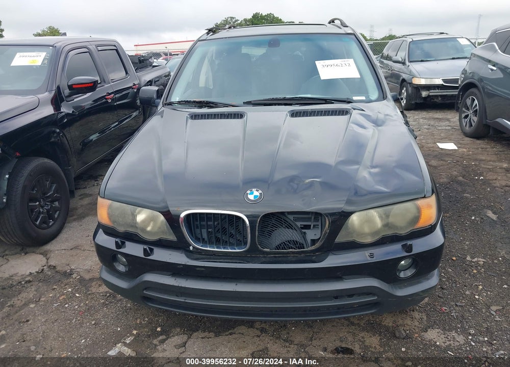 2003 BMW X5 VIN: 5UXFA53533LV92829