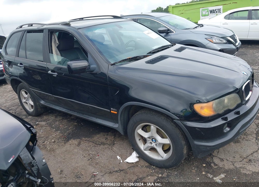 2003 BMW X5 VIN: 5UXFA53533LV92829