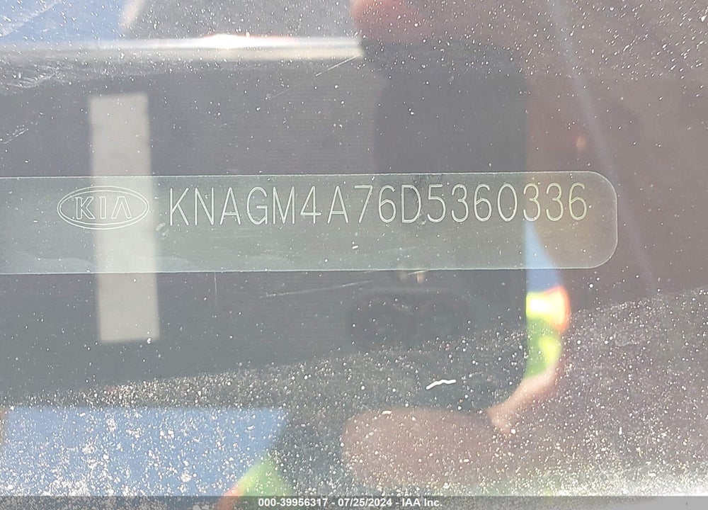 2013 KIA OPTIMA LX VIN: KNAGM4A76D5360336