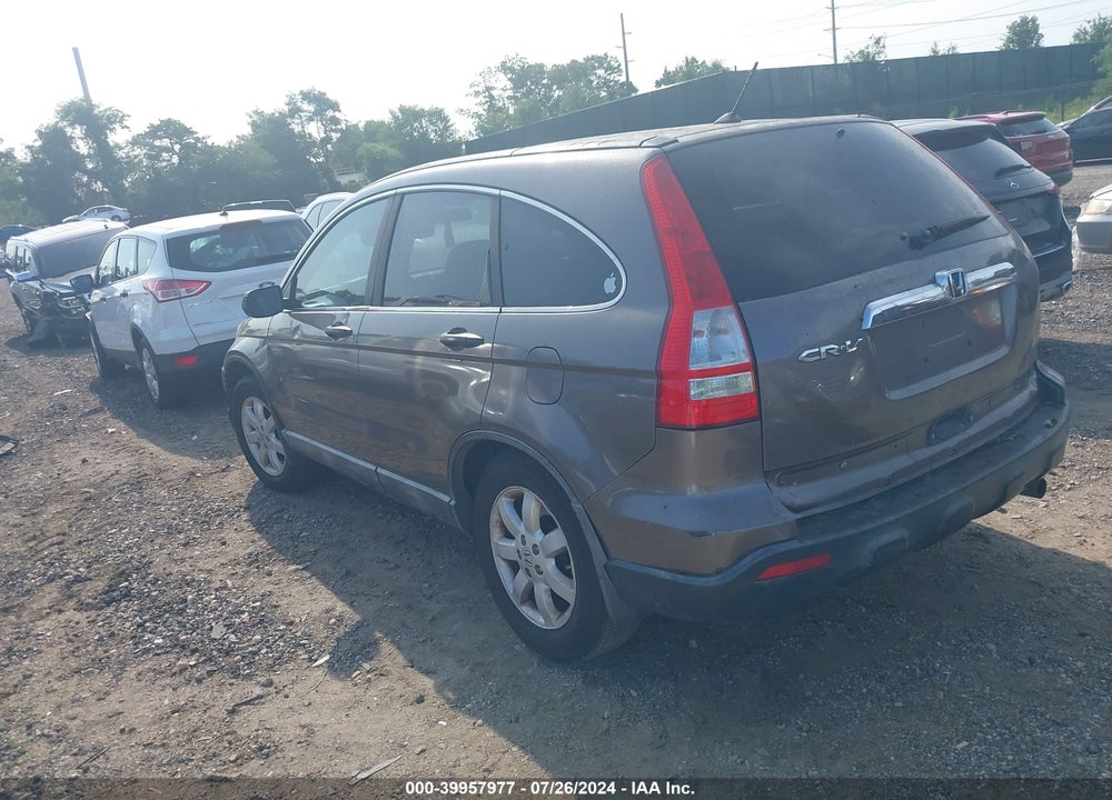 2009 HONDA CR-V EX VIN: 5J6RE38589L007679