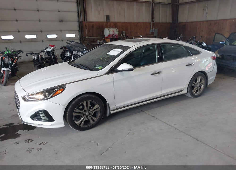 2019 HYUNDAI SONATA SPORT VIN: 5NPE34AF3KH811031