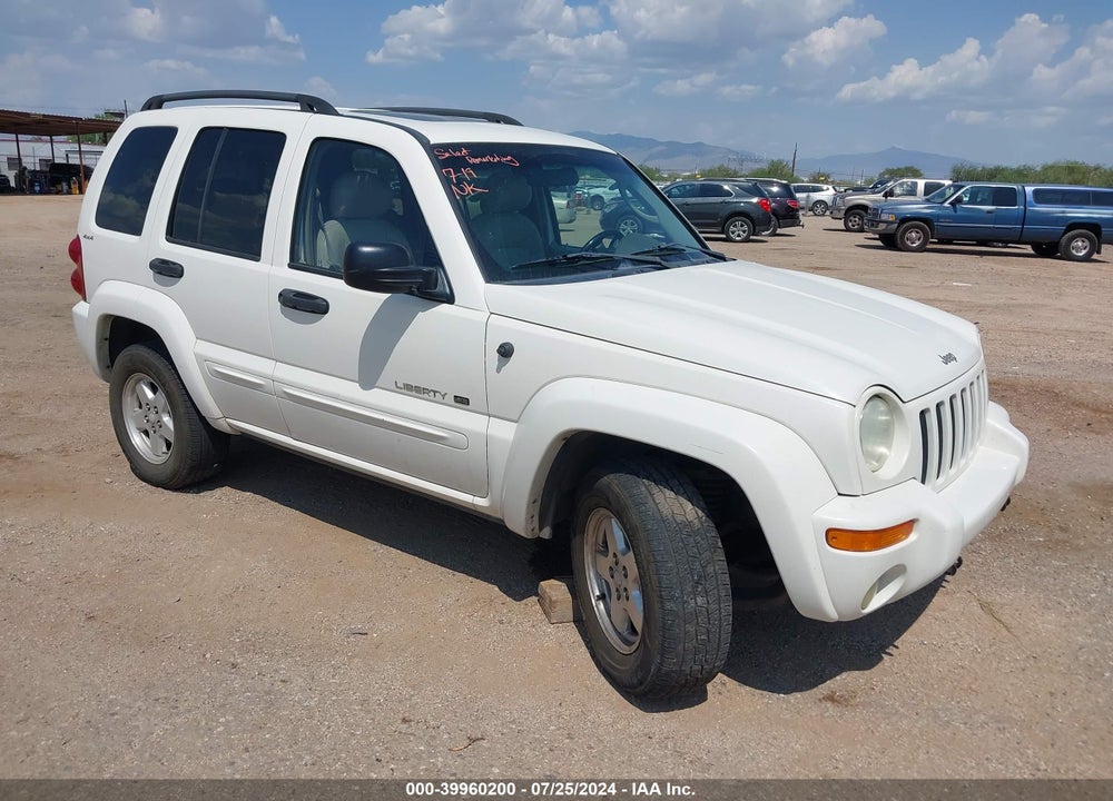 2002 JEEP LIBERTY LIMITED EDITION VIN: 1J4GL58K12W203062