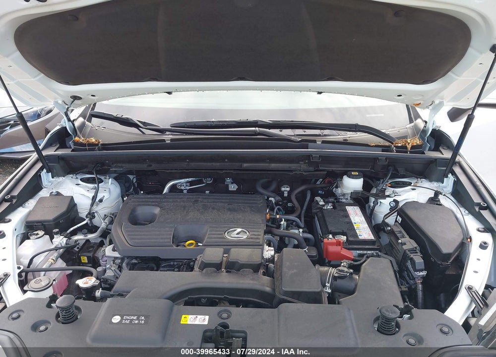2024 LEXUS NX 250 VIN: JTJADCAZ0R5013562