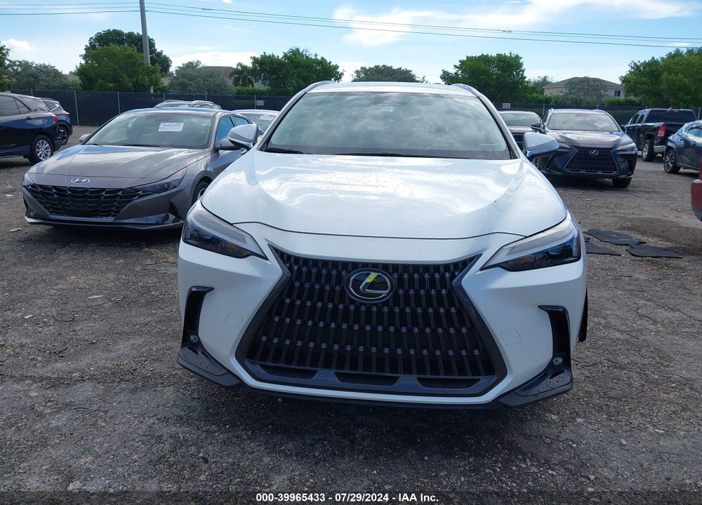 2024 LEXUS NX 250 VIN: JTJADCAZ0R5013562