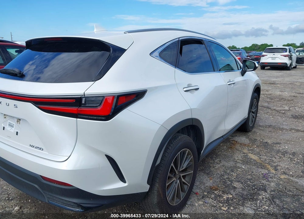 2024 LEXUS NX 250 VIN: JTJADCAZ0R5013562