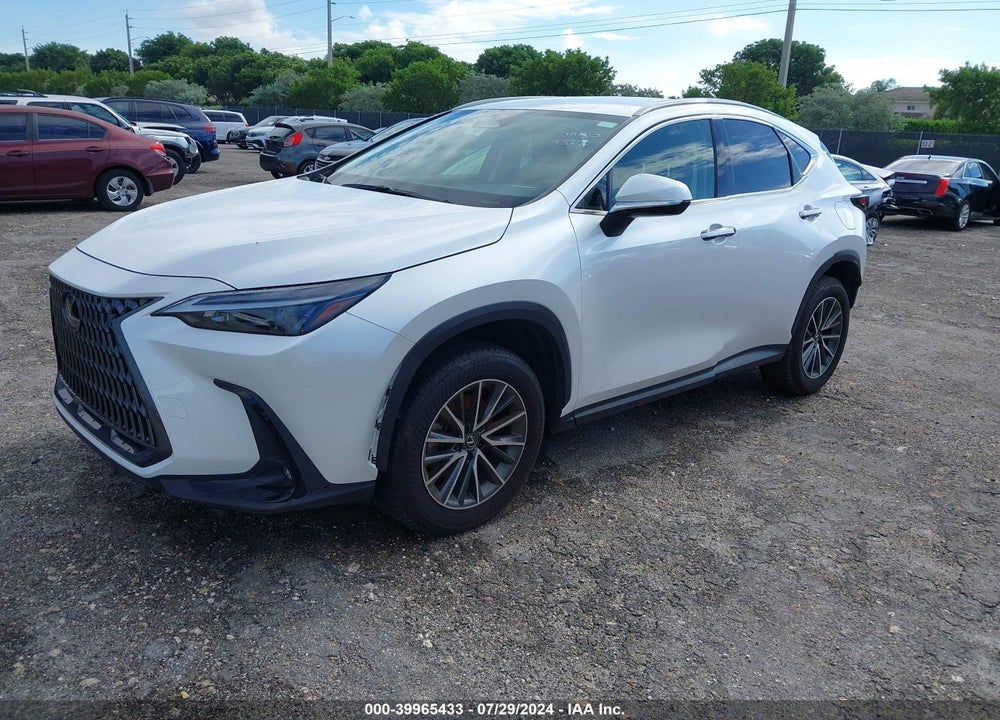 2024 LEXUS NX 250 VIN: JTJADCAZ0R5013562