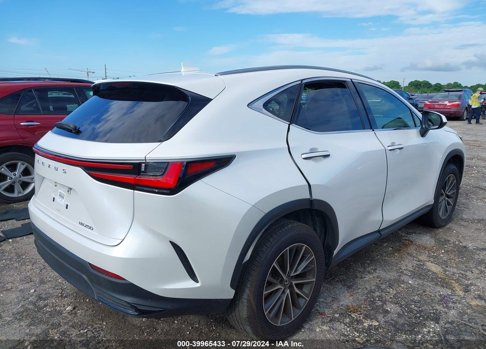 2024 LEXUS NX 250 VIN: JTJADCAZ0R5013562