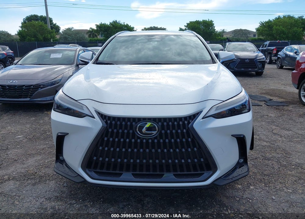 2024 LEXUS NX 250 VIN: JTJADCAZ0R5013562