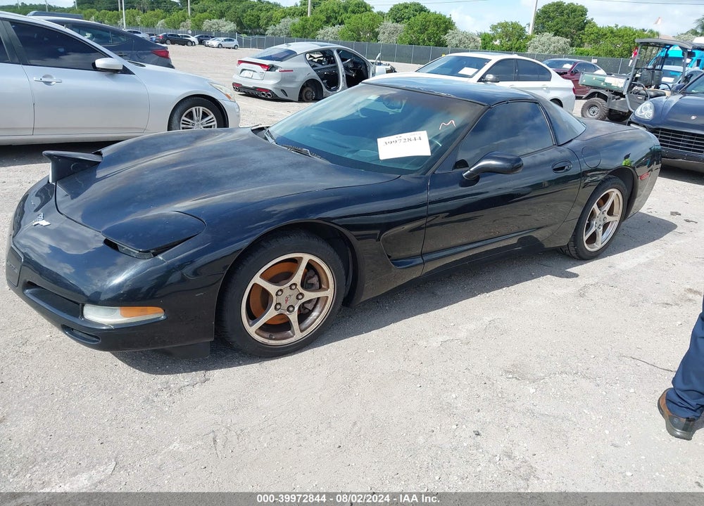 2004 CHEVROLET CORVETTE VIN: 1G1YY22G245109191