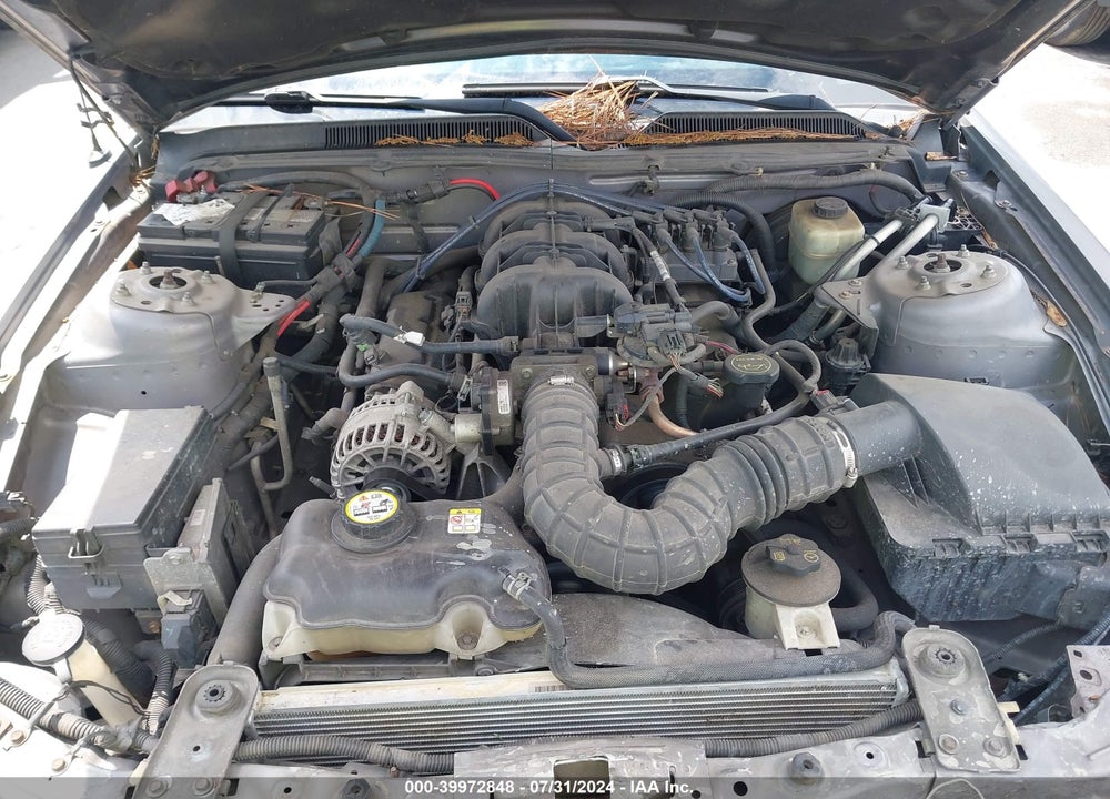 2006 FORD MUSTANG VIN: 1ZVFT80N465255478