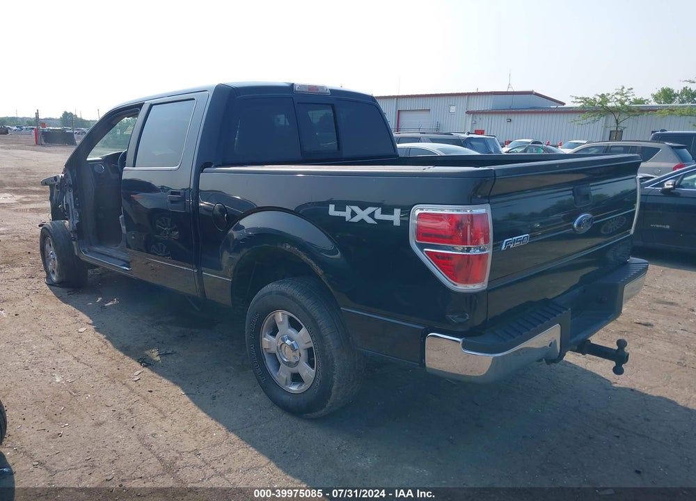 2010 FORD F-150 XL/XLT VIN: 1FTEW1E86AFA68715