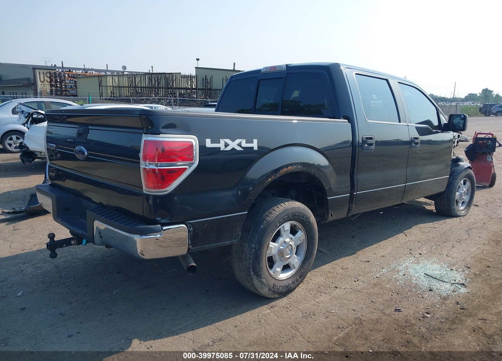 2010 FORD F-150 XL/XLT VIN: 1FTEW1E86AFA68715