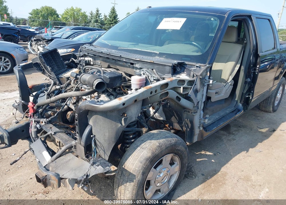 2010 FORD F-150 XL/XLT VIN: 1FTEW1E86AFA68715