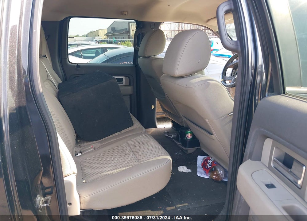 2010 FORD F-150 XL/XLT VIN: 1FTEW1E86AFA68715