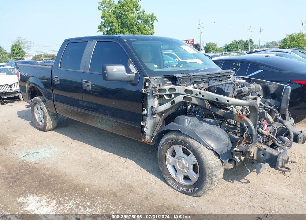 2010 FORD F-150 XL/XLT VIN: 1FTEW1E86AFA68715