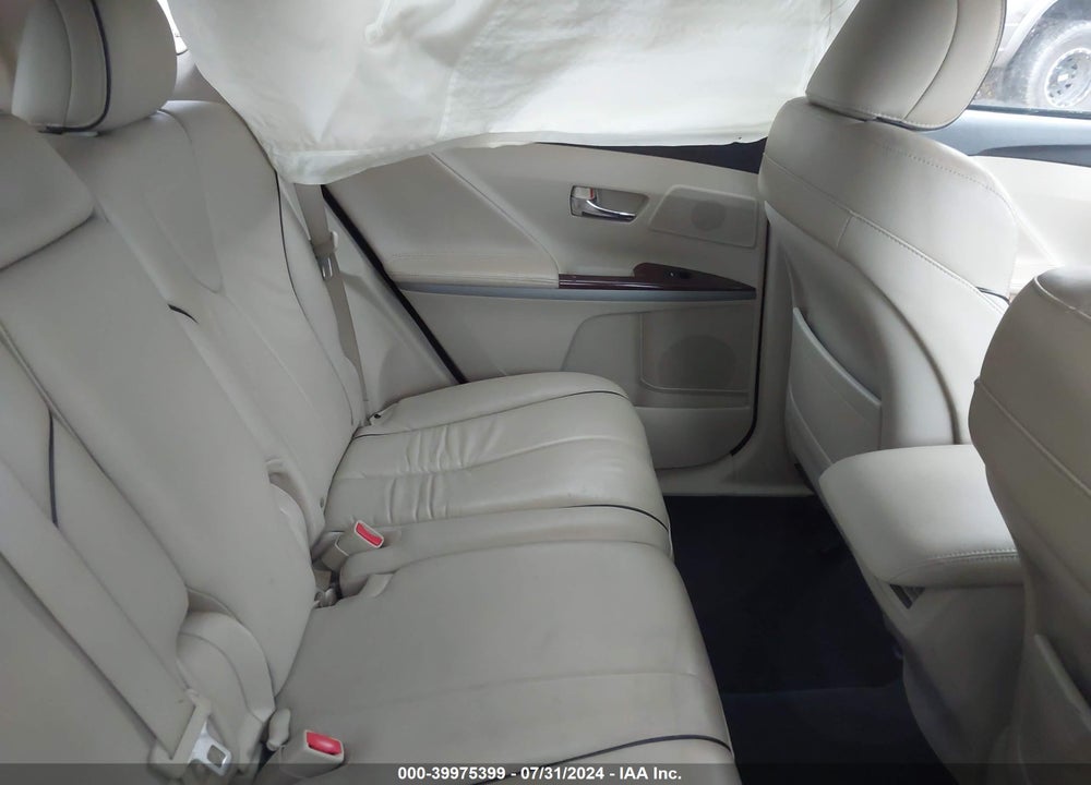 2009 TOYOTA VENZA VIN: 4T3ZE11A99U006149