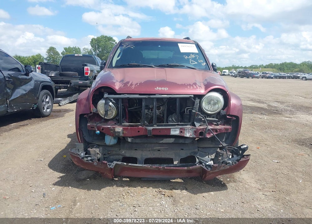 2002 JEEP LIBERTY LIMITED EDITION VIN: 1J4GL58K22W118117