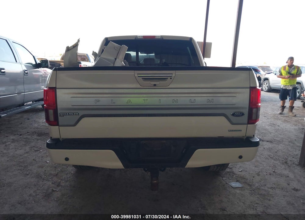 2019 FORD F-150 PLATINUM VIN: 1FTEW1E43KFB81102