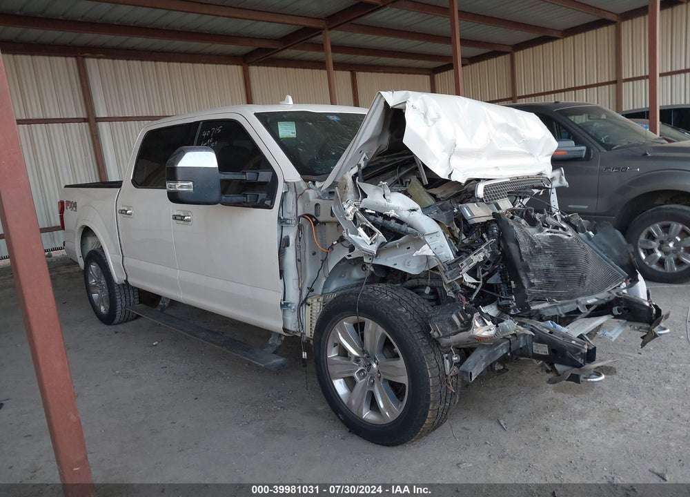 2019 FORD F-150 PLATINUM VIN: 1FTEW1E43KFB81102