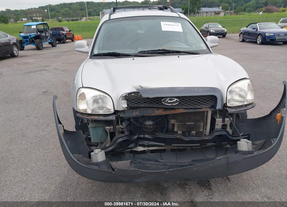 2004 HYUNDAI SANTA FE GLS/LX VIN: KM8SC73E04U822405