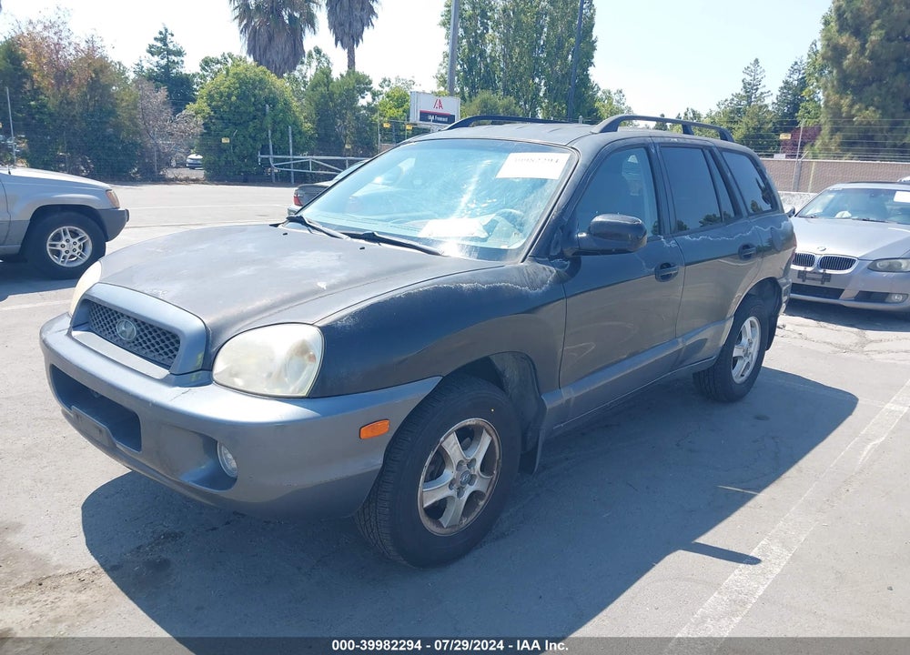 2003 HYUNDAI SANTA FE GLS/LX VIN: KM8SC13D03U343274
