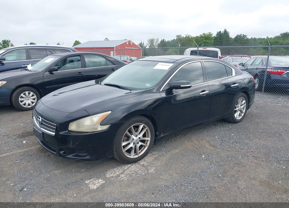 2010 NISSAN MAXIMA 3.5 SV VIN: 1N4AA5AP7AC854838