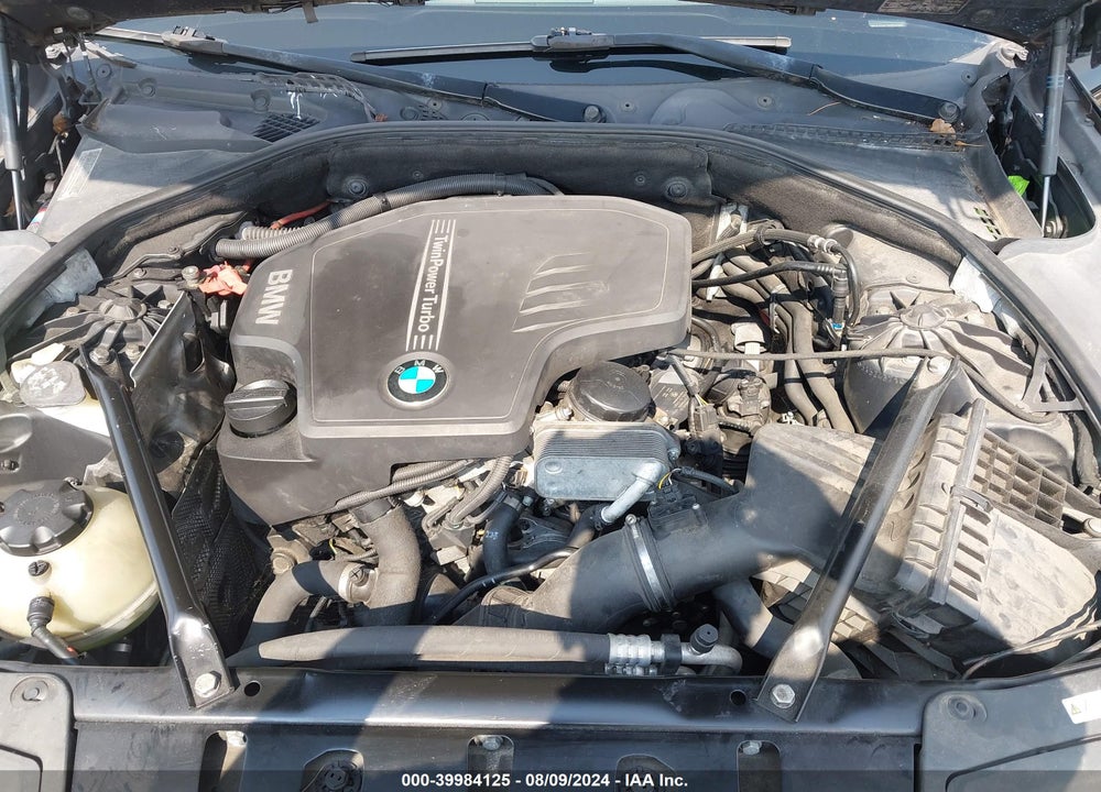2013 BMW 528I VIN: WBAXG5C55DD232670