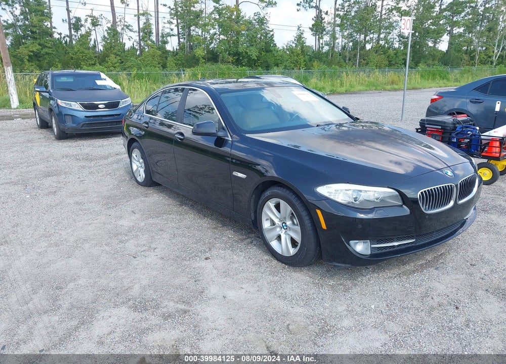2013 BMW 528I VIN: WBAXG5C55DD232670