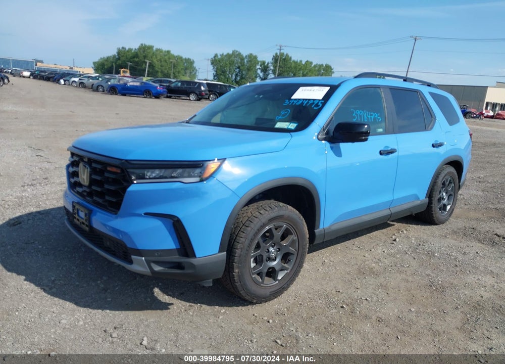 2024 HONDA PILOT AWD TRAILSPORT VIN: 5FNYG1H65RB043292