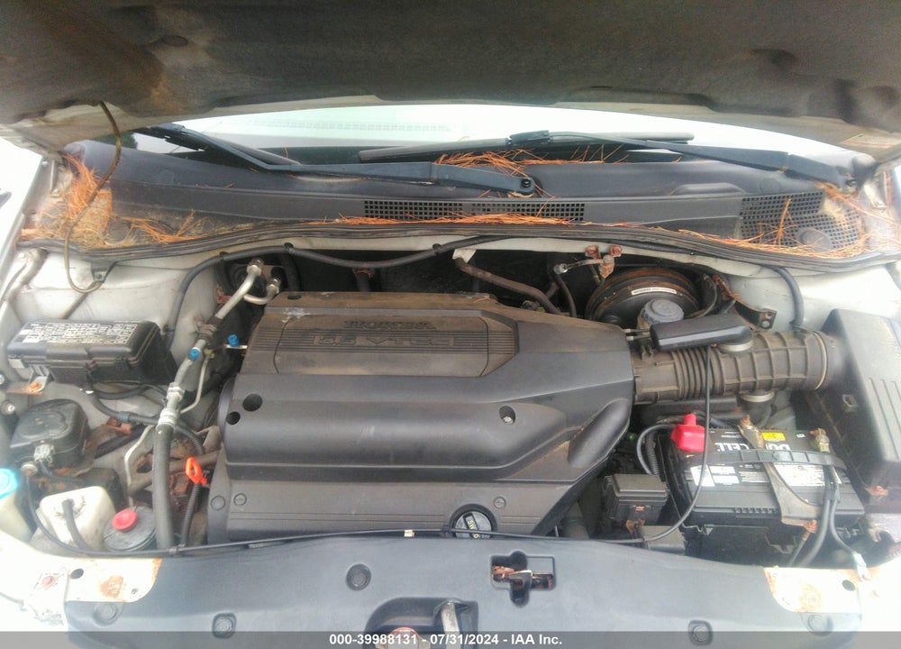 2004 HONDA ODYSSEY EX-L VIN: 5FNRL18964B035043