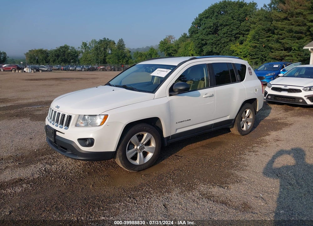 2011 JEEP COMPASS VIN: 1J4NF1FB6BD239299