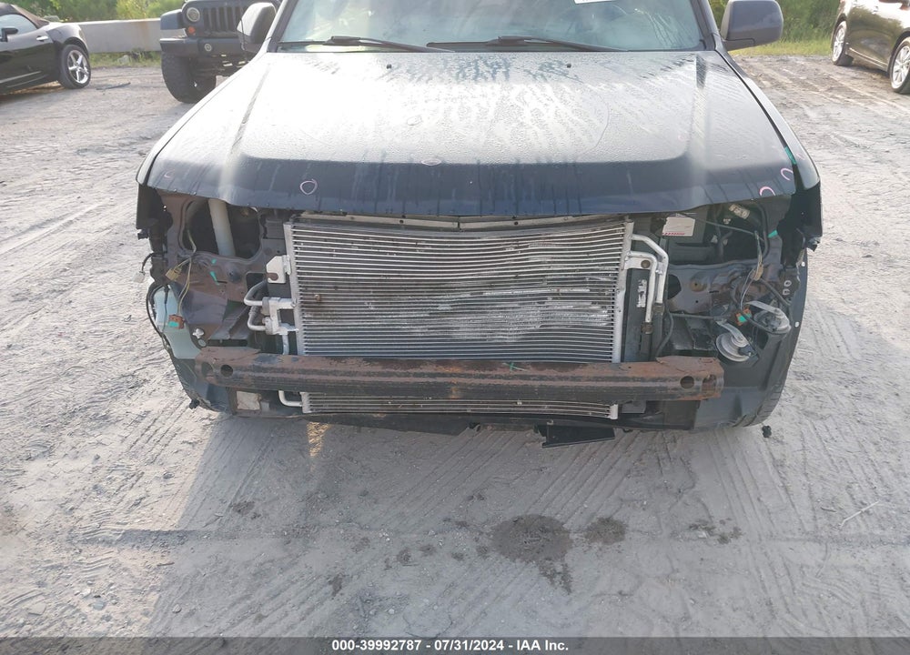 2010 FORD ESCAPE XLT VIN: 1FMCU9DG9AKD43016