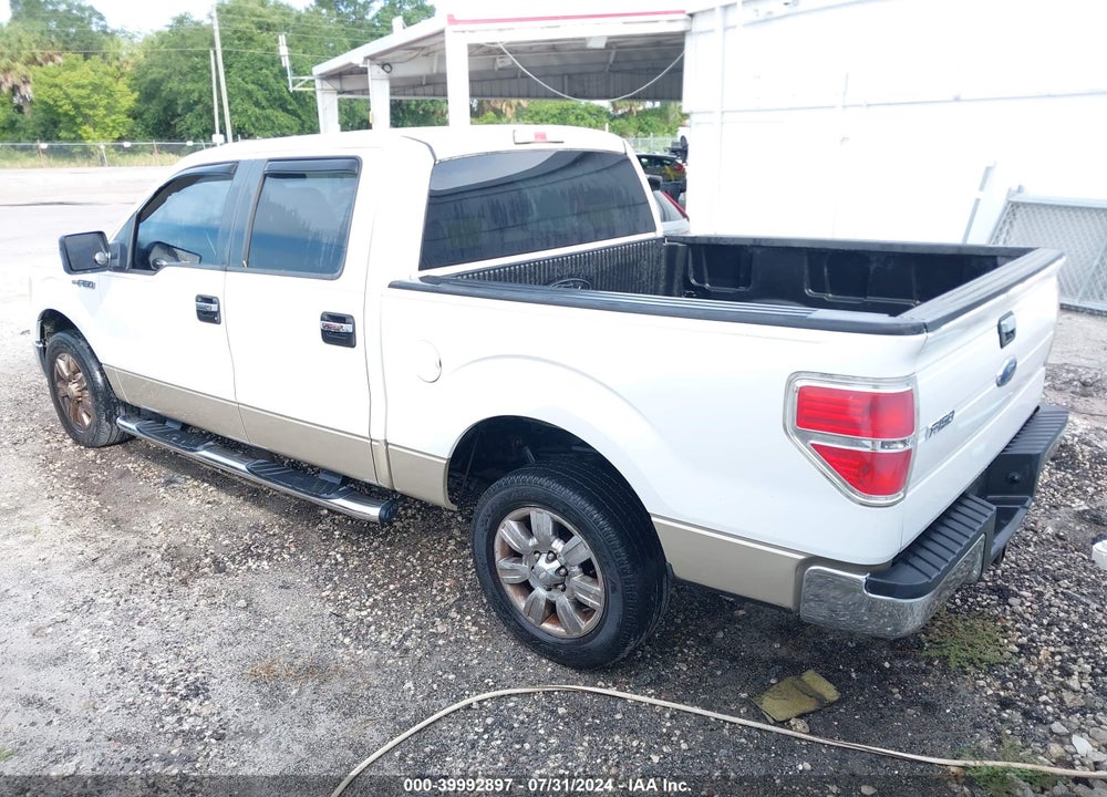 2009 FORD F-150 XL/XLT VIN: 1FTRW12899KC77861