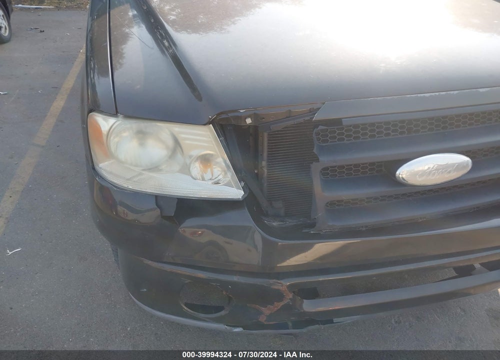 2006 FORD F-150 STX/XL/XLT VIN: 1FTRF12266KE01236