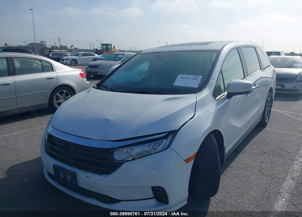 2024 HONDA ODYSSEY EX-L VIN: 5FNRL6H60RB002999