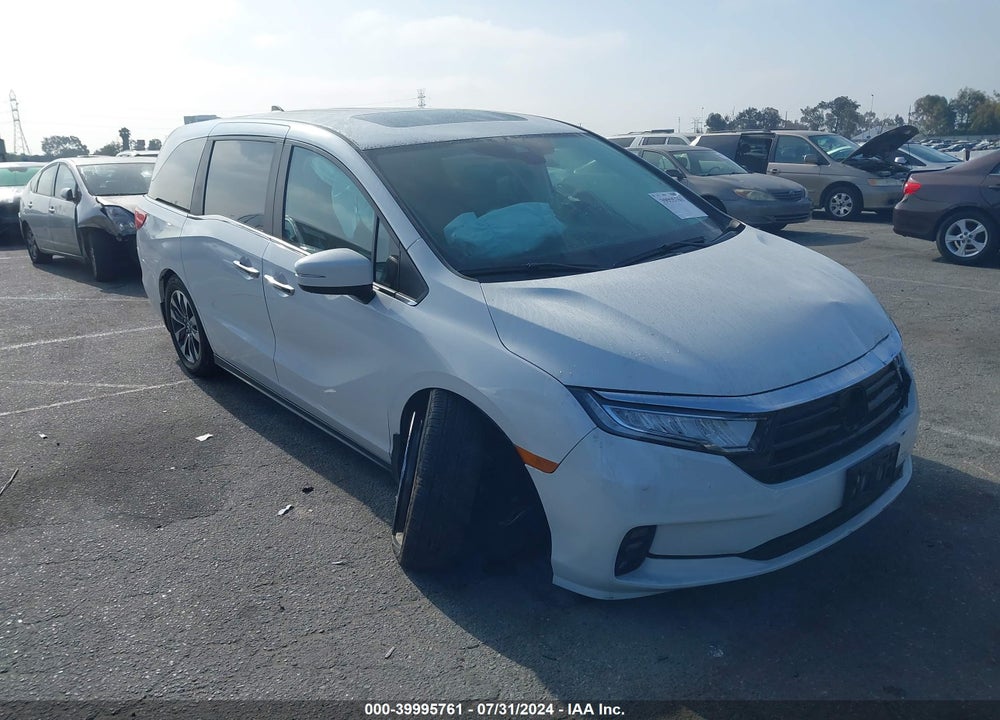 2024 HONDA ODYSSEY EX-L VIN: 5FNRL6H60RB002999