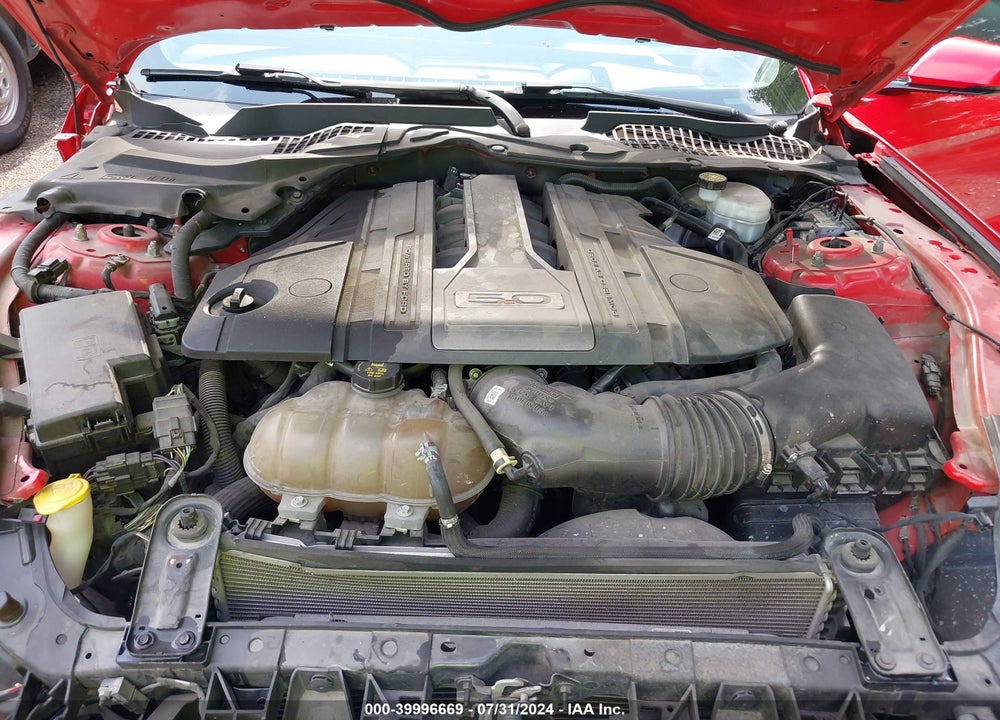 2019 FORD MUSTANG GT PREMIUM VIN: 1FA6P8CF7K5159288