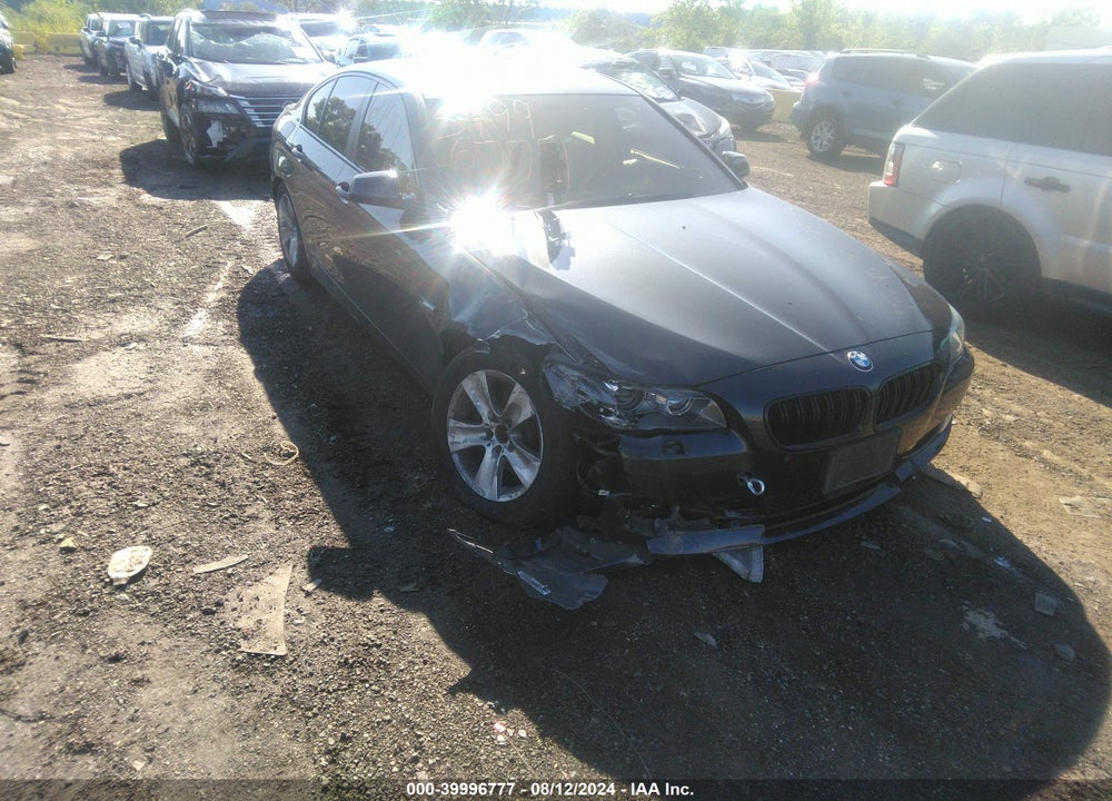 2013 BMW 528I VIN: WBAXG5C5XDD235113