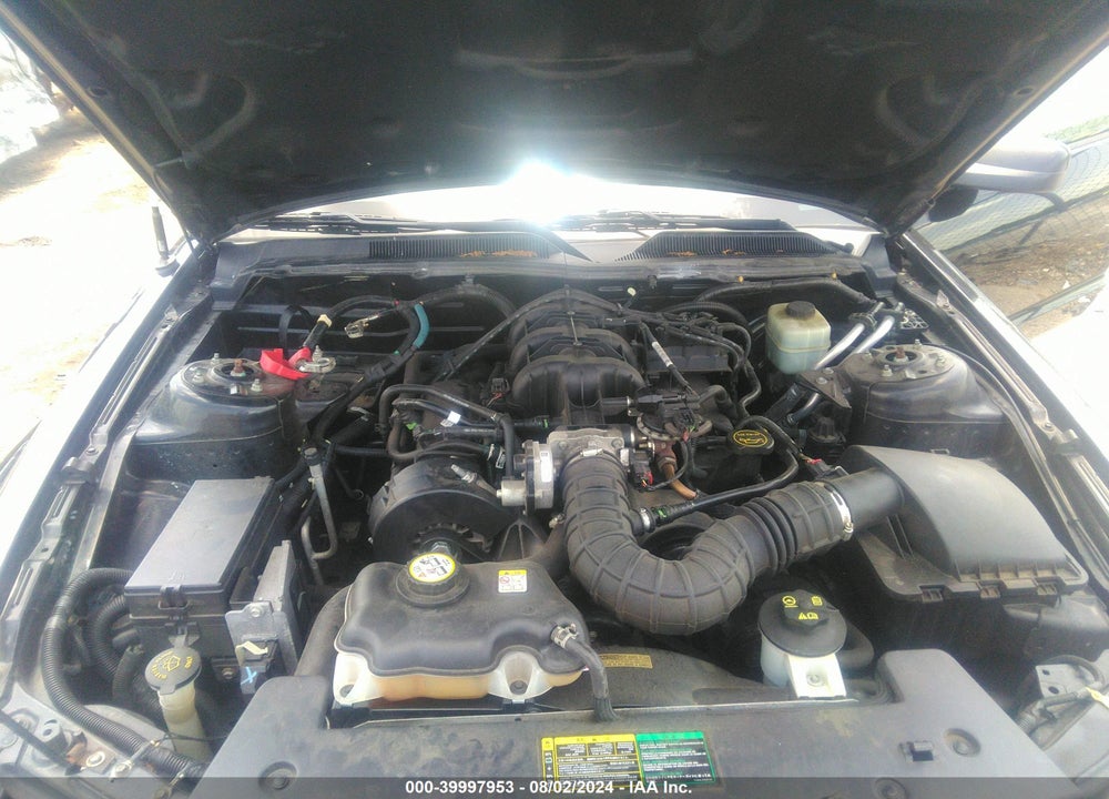 2005 FORD MUSTANG V6 DELUXE/V6 PREMIUM VIN: 1ZVFT80N555195080