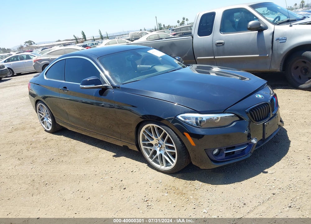 2016 BMW 228I VIN: WBA1F9C58GV545761