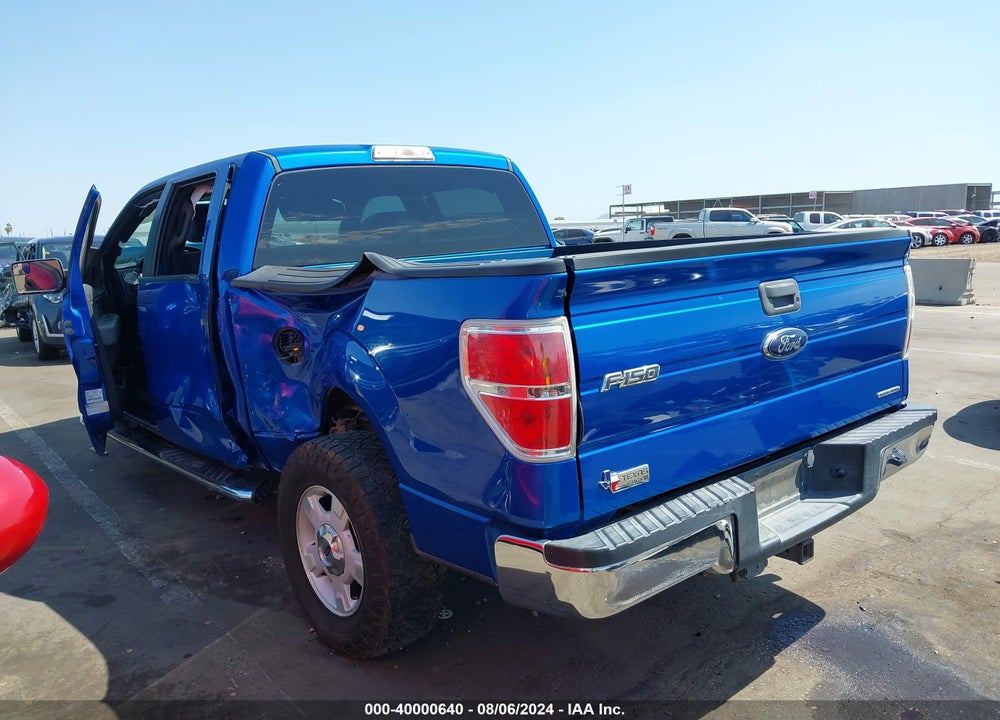 2014 FORD F-150 XLT VIN: 1FTEW1CM9EFD08376