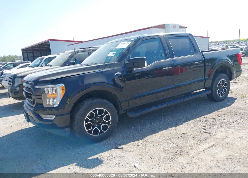 2023 FORD F-150 XLT VIN: 1FTFW1E56PFA63016