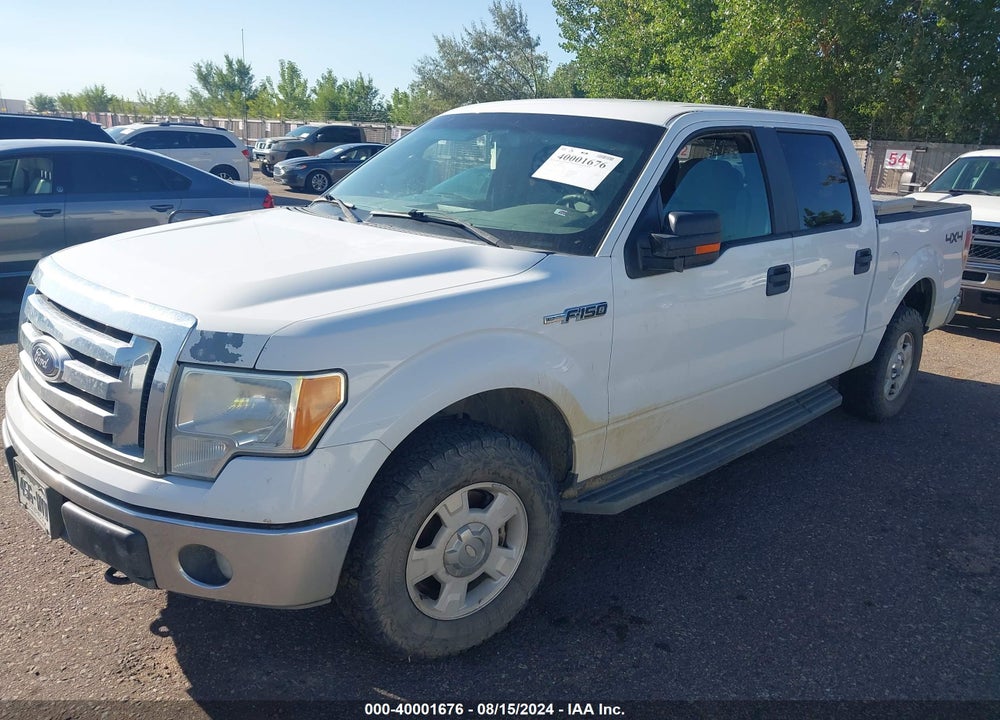 2011 FORD F-150 XLT VIN: 1FTFW1EF8BKD49684