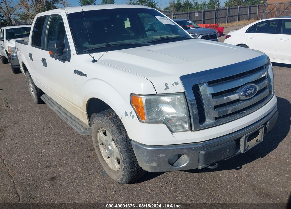 2011 FORD F-150 XLT VIN: 1FTFW1EF8BKD49684