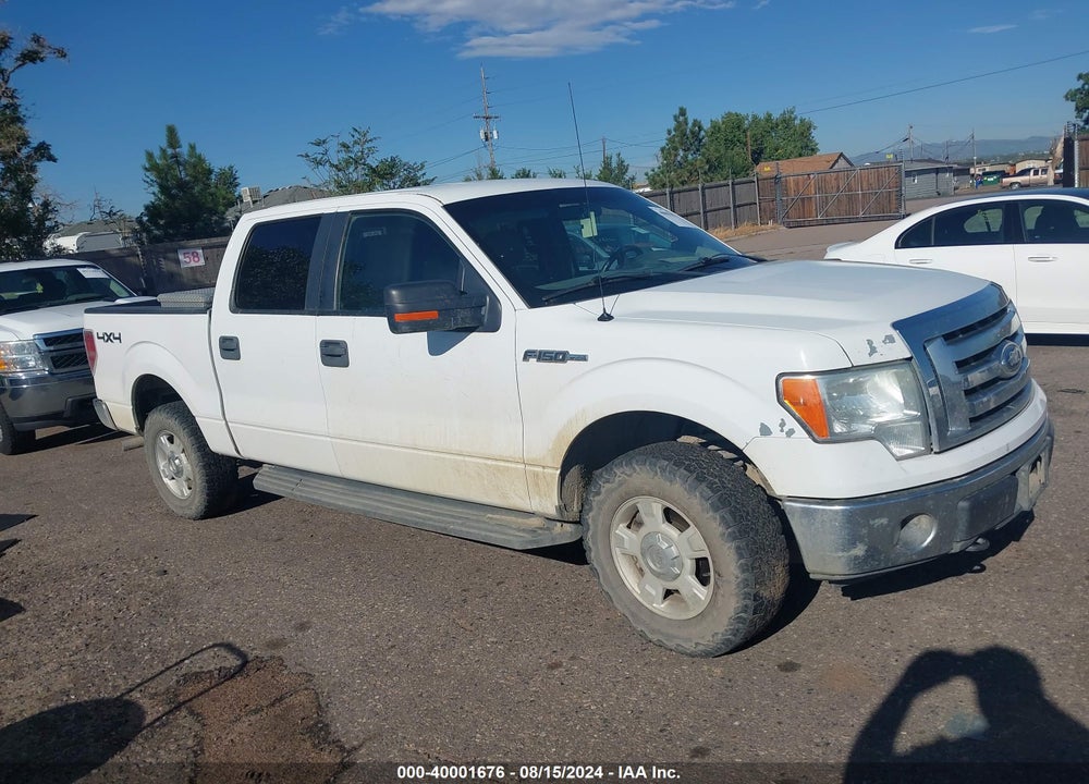 2011 FORD F-150 XLT VIN: 1FTFW1EF8BKD49684