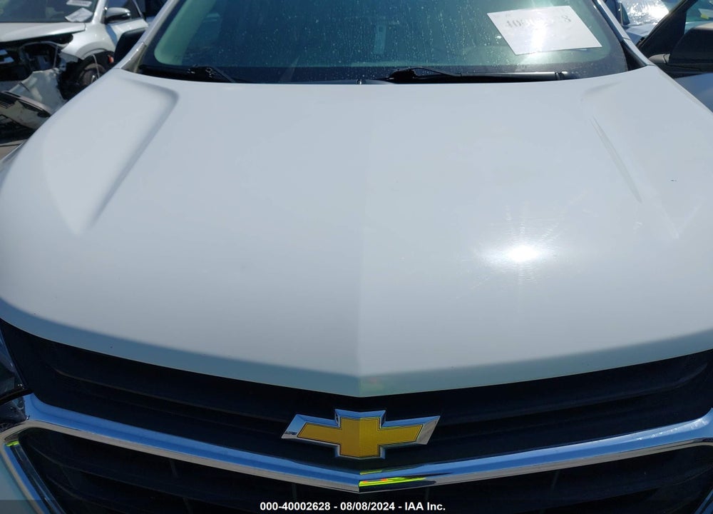 2019 CHEVROLET EQUINOX LS VIN: 3GNAXSEVXKL328331