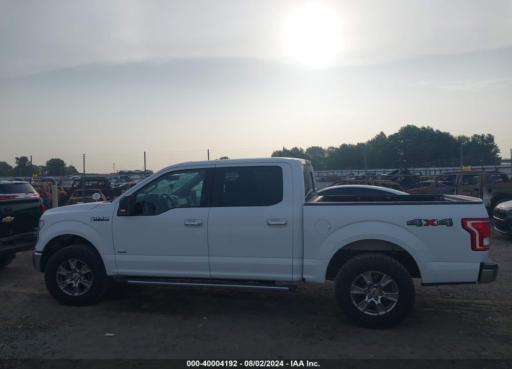 2015 FORD F-150 XLT VIN: 1FTEW1EG5FFA74889